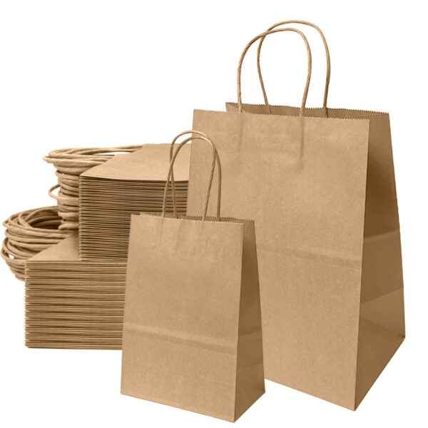 Sac Kraft 220X100X280 250PCS